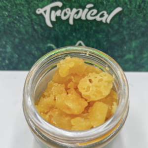 Whole Melt Live Resin Sugar V3 Tropical Edition