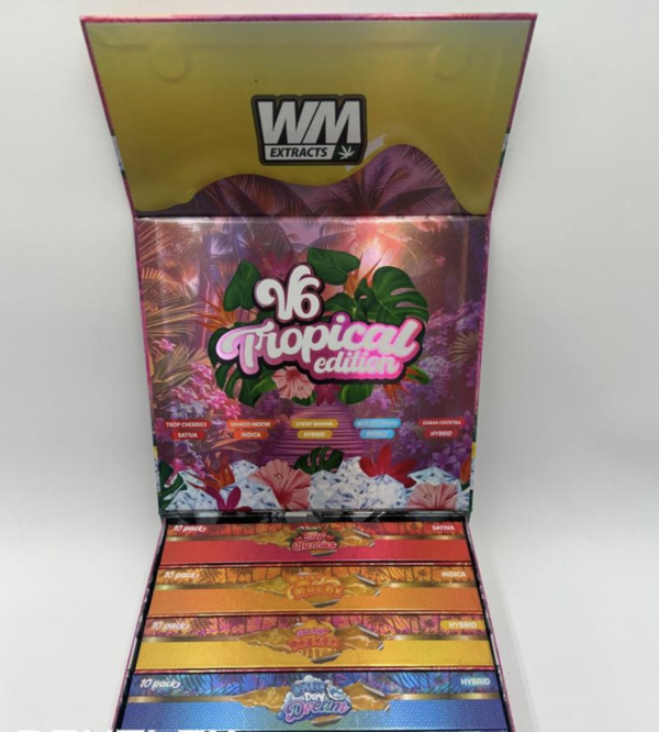 Whole Melt v6 Disposable Box