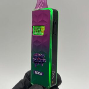 WHOLE MELTS SUIT CASE PHASE 5 DISPOSABLE