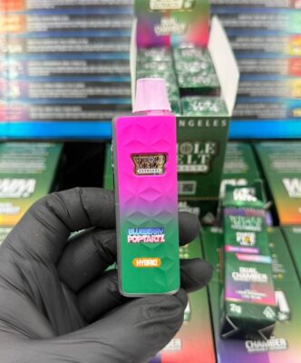 WHOLE MELT PHASE 5 V2 2G DISPOSABLE